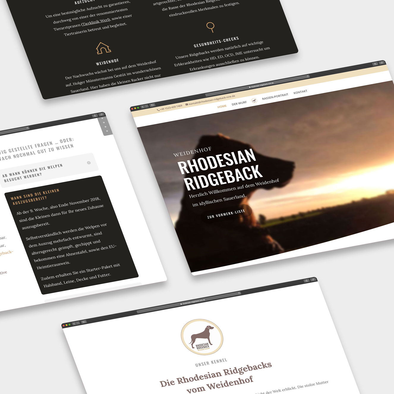 1313 multimedial Grafikdesign Webdesign Sauerland Arnsberg rr